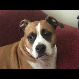 Meet your Posher, Rene